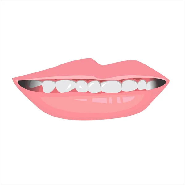 女性の唇 ベクターのイラスト — ストックベクタ