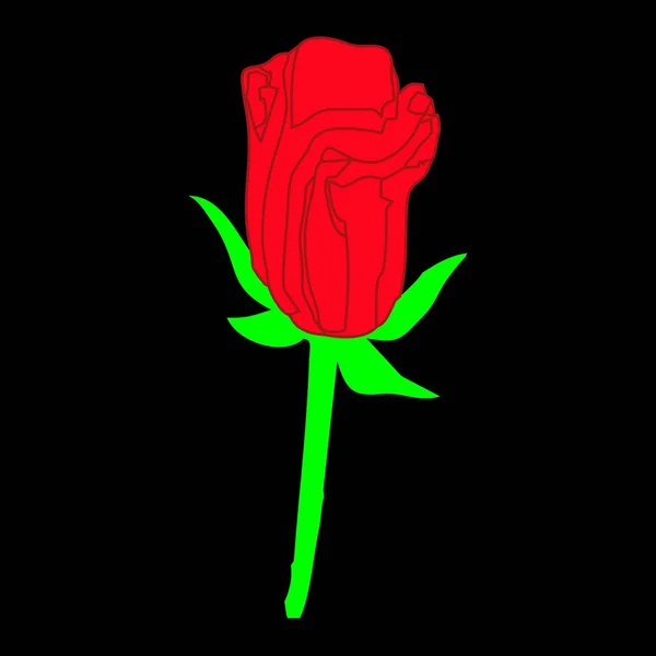 Rode Roos Met Zwarte Achtergrond — Stockvector