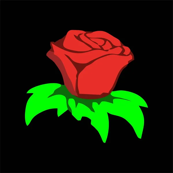 Троянда Квітка Чорному Фоні Векторна Ілюстрація — стоковий вектор