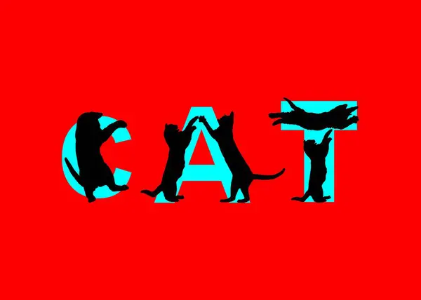 Επιγραφή Γάτα Κόκκινη Γάτα Στο Μαύρο Φόντο — Διανυσματικό Αρχείο