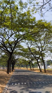 Parkın güzel manzarası