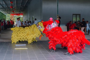 Çin Yeni Yılı boyunca aslan dansı gösterisi 