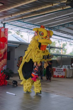 Çin Yeni Yılı boyunca aslan dansı gösterisi 