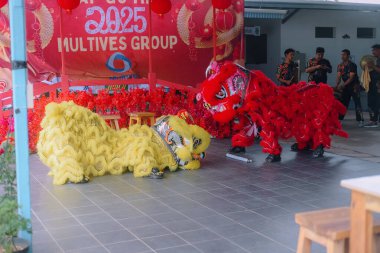 Çin Yeni Yılı boyunca aslan dansı gösterisi 