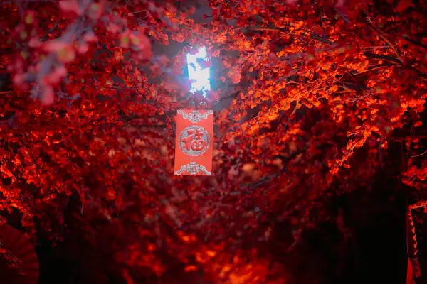 AKARTA, İNDONEZYA - Şubat 2025 - Çin Yeni Yıl Süslemeleri sırasında JAKARTA 15, 2025