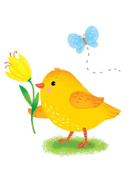 Easter card with cartoon chick holding spring flower with blue butterfly. High quality photo