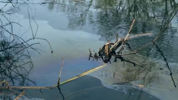 Ecologische Catastrofe Olieramp Rivierwater Met Kleurrijke Vlekken Van Benzine Resultaten — Stockvideo