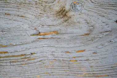 Açık gri renkli ahşap tabaka üst görünümü, Vintage