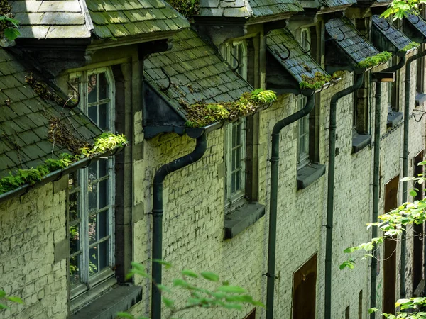 家屋は屋根の結果に緑色のモスを育てます オハイ水分 — ストック写真