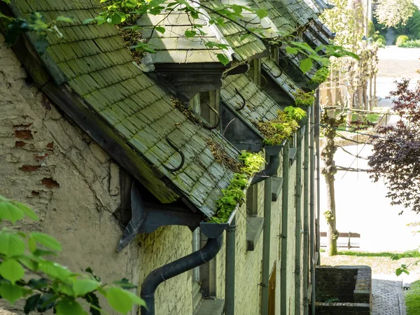 Evler Çatıda Yeşil Yosun Üretir Nem Oranı Yüksektir — Stok fotoğraf