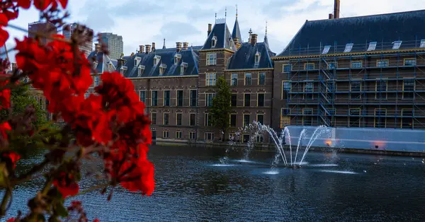 Hague Binnenhof Palace Hohvijfer Canal Netherlands Dutch Parliament Buildings — Stock Photo, Image