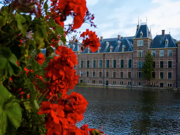 Hague Binnenhof Palace Hohvijfer Canal Netherlands Dutch Parliament Buildings — Stock Photo, Image