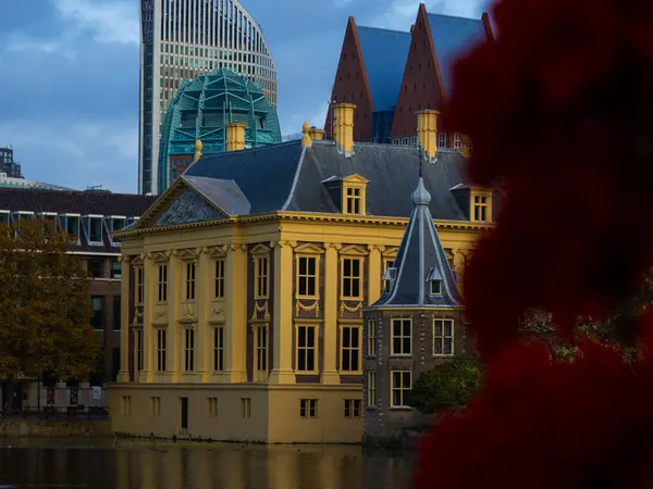 Mauritshuis Museum Indeholder Samling Hundredvis Hollandske Malerier - Stock-foto
