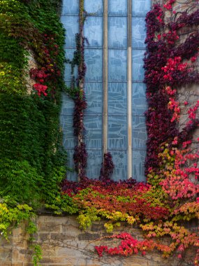 St. Johannes Katolik Kilisesi sonbahar yapraklarından yapılmış güzel renkleri olan sonbahar elbisesiyle