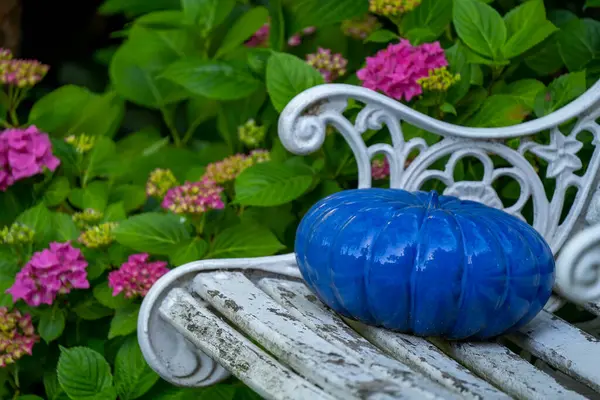 Süsleme için mavi balkabaklı beyaz bahçe sandalyesi ve Hortensiya çiçeğinin arka planı..