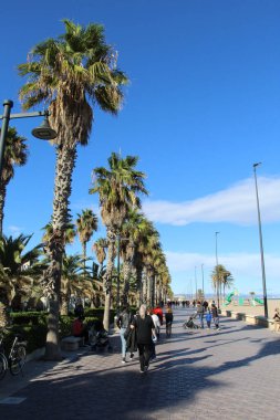 Deniz kenarında bir yürüyüşte.