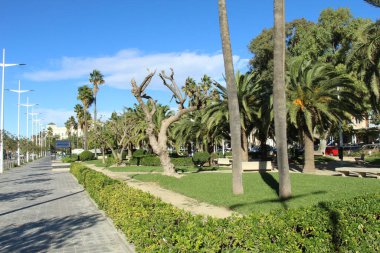 Park sokağı palmiye ağaçlarının gölgesine batmış.