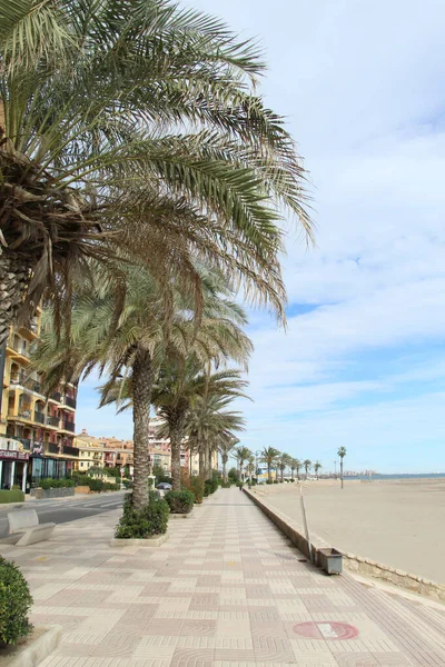 Deniz Kıyısındaki Palmiye Ağaçlarının Altında Yürü — Stok fotoğraf