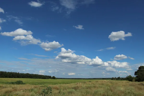 ウクライナの青い空にふわふわの白い雲 — ストック写真
