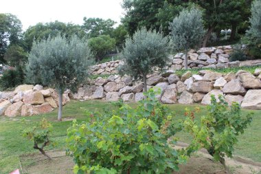 Parkın teraslarının güzelliği