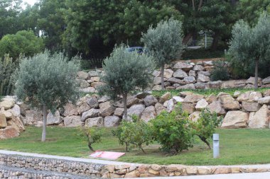 Parkın teraslarının güzelliği