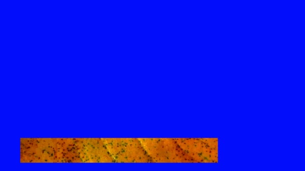 Анімований Банер Сухого Листя Нижня Третя Текстура Унікальні Назви — стокове відео