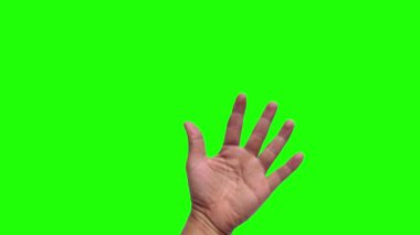 Yeşil arkaplandaki hareketli ellerin fotoğrafları. Sembolünü görüyorum. 4 bin. Üç el pozu.