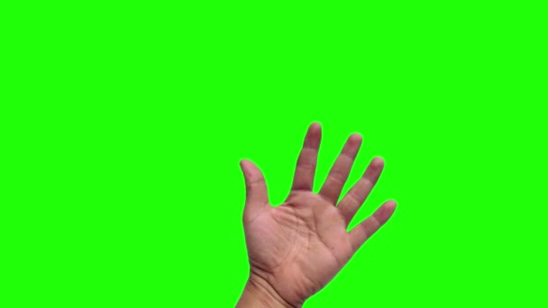 Zestaw Zdjęć Animowanych Dłoni Zielonym Tle Zobaczenia Trzy Ręce — Wideo stockowe