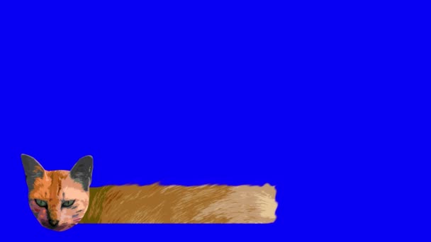 青い背景に下三番目にかわいい猫の形 オレンジカラー動物バナー4K — ストック動画