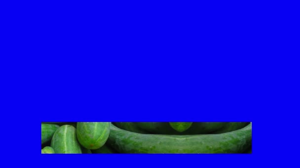 Textura Terço Inferior Bandeira Imagem Verduras — Vídeo de Stock