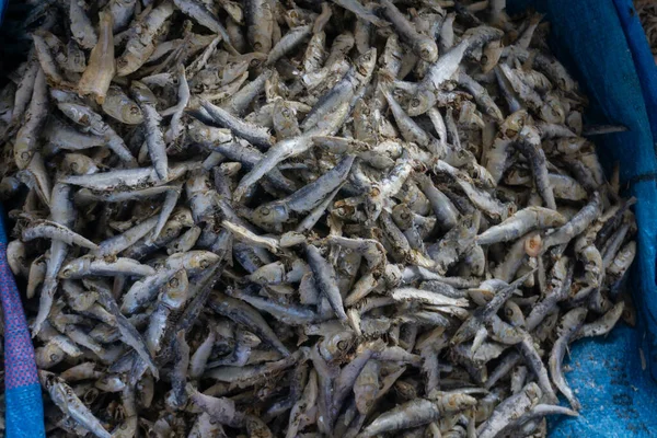 传统市场上成堆的干枯的凤尾鱼 保存好的海鲜一群小海鱼动物 — 图库照片