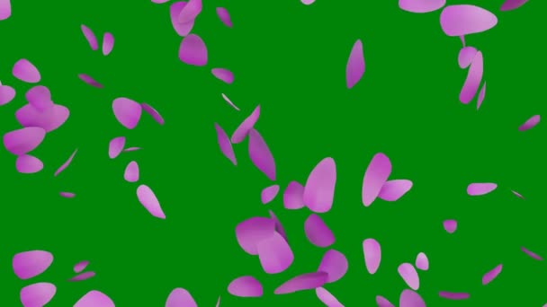 Анимированный Фон Лепестков Роз Плавающих Зеленом Фоне — стоковое видео