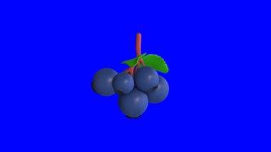 Mavi arka planda dönen Huckleberry meyvelerinin 3 boyutlu animasyonu. 3D görüntüleme. Üç boyutlu meyve 4k