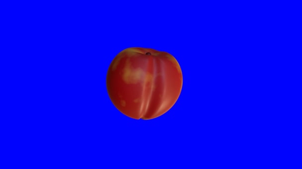 Animado Nectarine Frutas Fundo Azul Renderiza — Vídeo de Stock