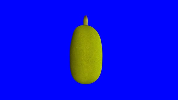 Animált Jackfruit Forgó Kék Háttérrel Renderelés — Stock videók