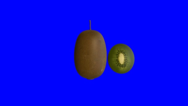 Animáció Kiwi Gyümölcs Kék Alapon Renderelés — Stock videók