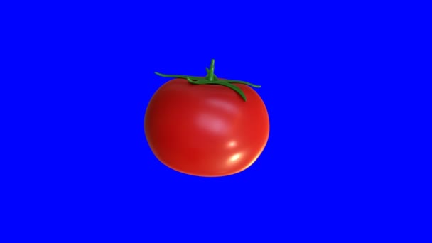 Animacja Pomidorów Niebieskim Tle Renderuje — Wideo stockowe