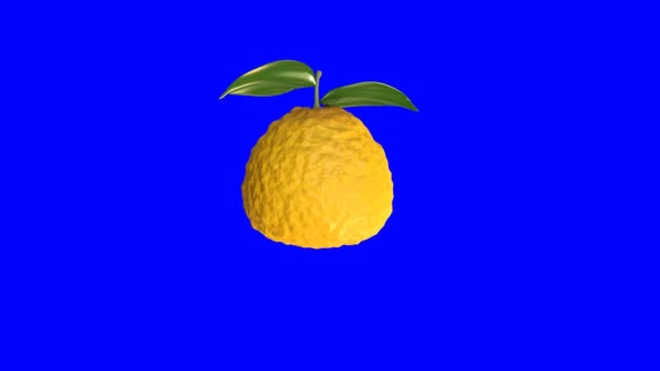 Animacja Obracającego Się Owocu Ugli Niebieskim Tle Renderowanie Owoce Trójwymiarowe — Wideo stockowe