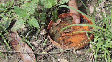 Yağmur suyu bir konteynıra yerleşir ve biri onu temizler böylece sivrisinekler için üreme alanı olmaz.