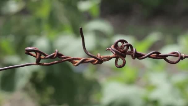 模糊自然背景的缠结生锈的晾衣绳 — 图库视频影像