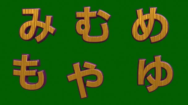 Alfabetos Japoneses Renderização Incluindo Fonte Visual Japonesa Com Textura Dourada — Vídeo de Stock