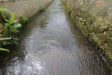 Suyu akan ve otlarla çevrili bir hendek.