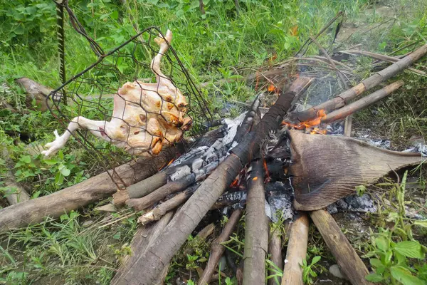 Kızarmış tavuk, yakacak odun ve yabani otlarla çevrili.