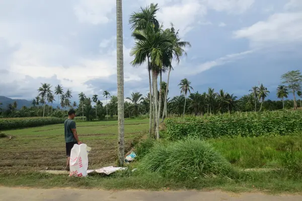 Ağacın önünde duran bir çuvalı tutan ve çevresi yeşil bitkilerle çevrili güzel mavi bir arka planı olan bir insan.
