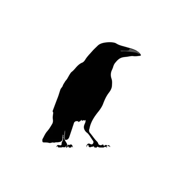 Silhueta Preta Pinguim — Vetor de Stock