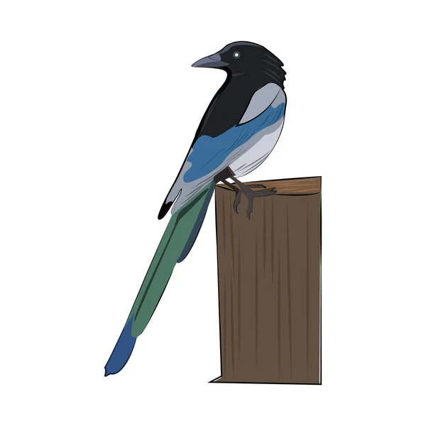 Blauer Vektor Vogel Cartoon Illustration Isoliert Auf Weiß — Stockvektor