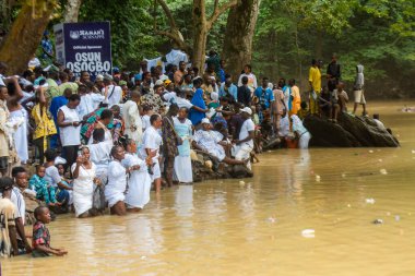 Osun Tanrıçası 'nın müritleri ve ibadet edenler, 9 Ağustos 2024 Cuma günü Nijerya' nın Osun Eyaleti 'nde düzenlenen geleneksel Osun Osogbo Festivali sırasında nehrin kıyısında dua ederler.