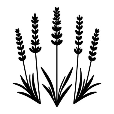 Lavanta çiçeği silueti vektör çizimi