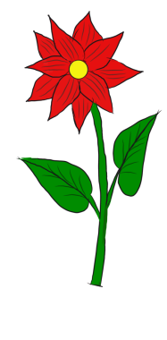 Beyaz arkaplanda kırmızı çiçek