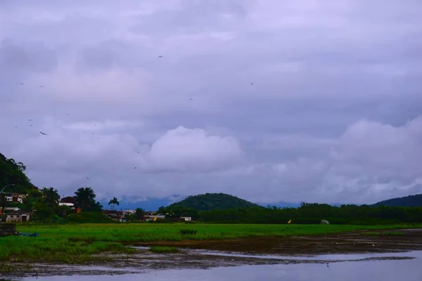 Antonina is a Brazilian municipality in the state of Paran. Its population counted in 2010 is 18,891 inhabitants with an area of 876,551 km. It is located 90 km from Curitiba, and 50 km from Paranagu. Historical city.